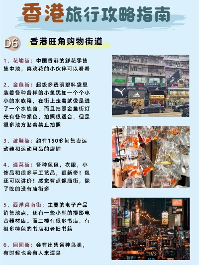7777788888精准香港正版跑狗|探索城市新魅力让旅行更精彩_适配版.5.688