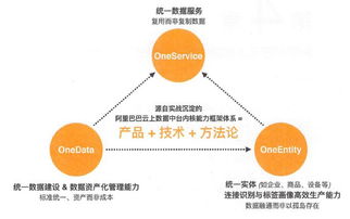 澳门一码精准必中|预测分析解释落实_交流版.0.686